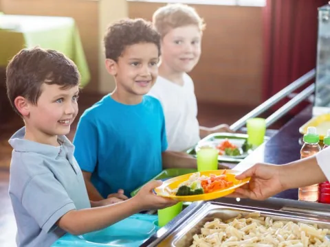 Curso Técnico em Alimentação Escolar